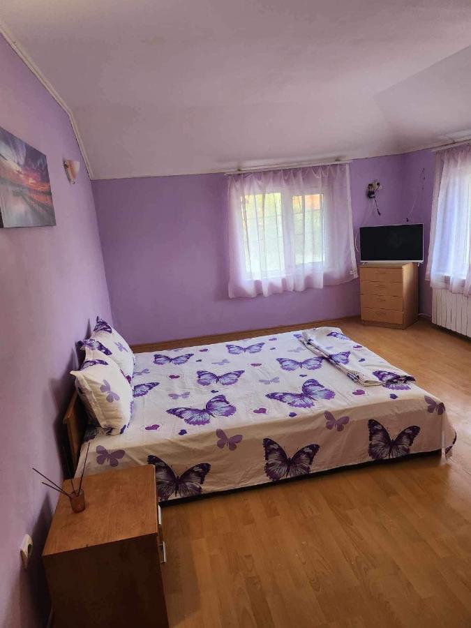 Guest House Iveta Σόφια Εξωτερικό φωτογραφία